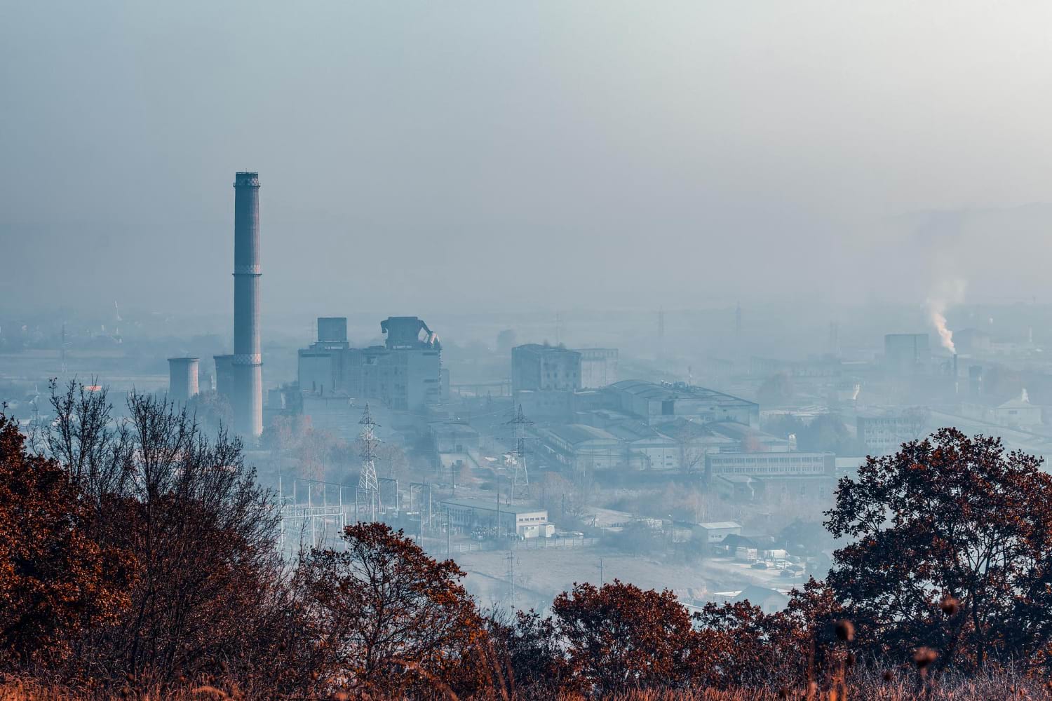 air pollution affect